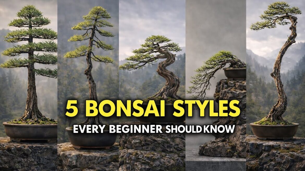 5 Essential Bonsai Styles Every Beginner Should Know | Bonsai Trees For Beginners.