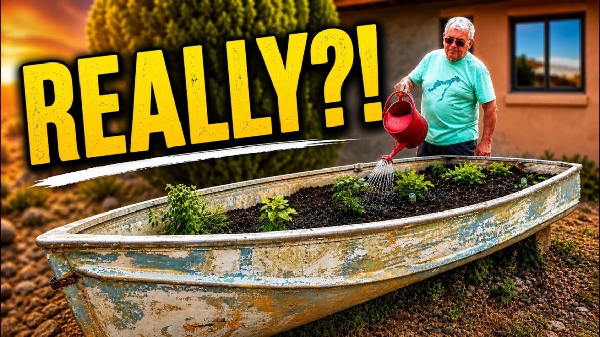 Off Grid Reality: Too Hot to Build… So We Built a Garden Boat Instead | Tiny House Life AZ Off Grid Reality: Too Hot to Build… So We Built a Garden Boat Instead | Tiny House Life AZ