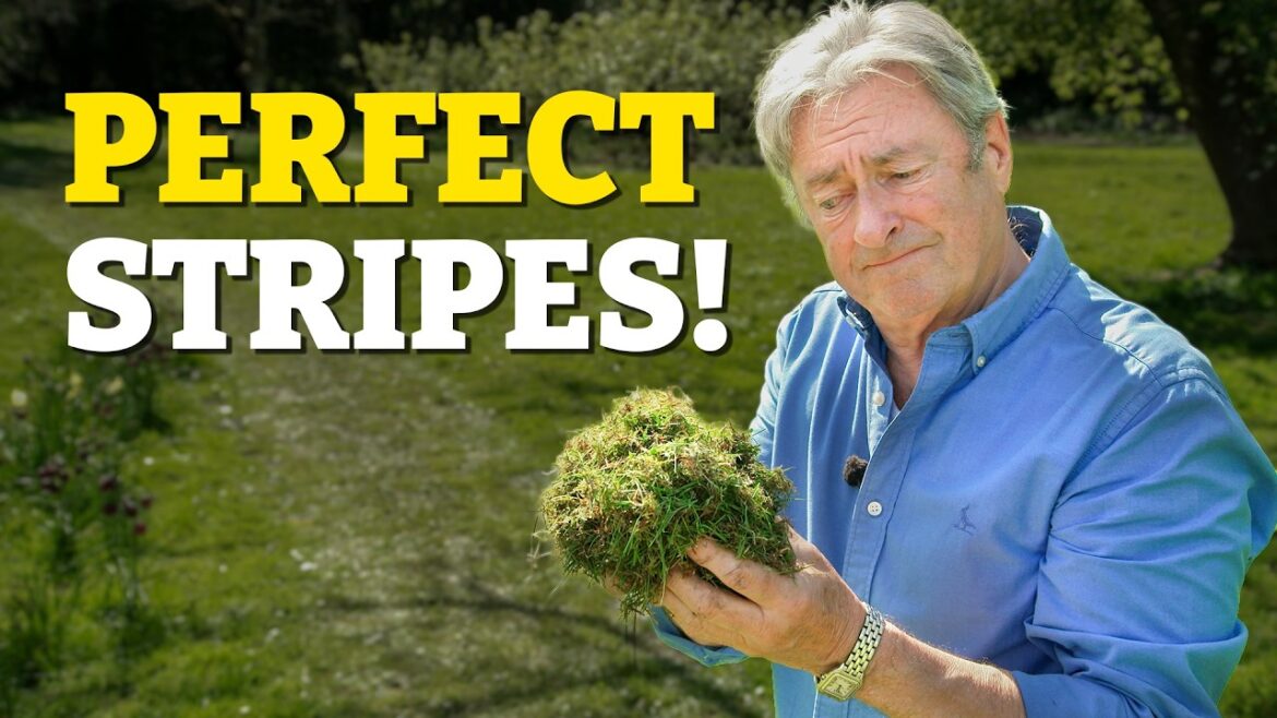 Why Your Lawn Looks Bad! (Do This Before You Mow) Why Your Lawn Looks Bad! (Do This Before You Mow)