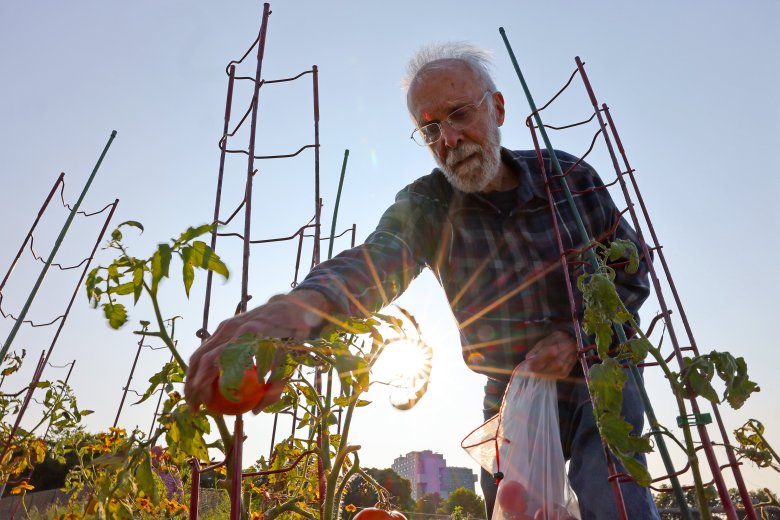 How to keep pests out of your garden — sustainably How to keep pests out of your garden — sustainably