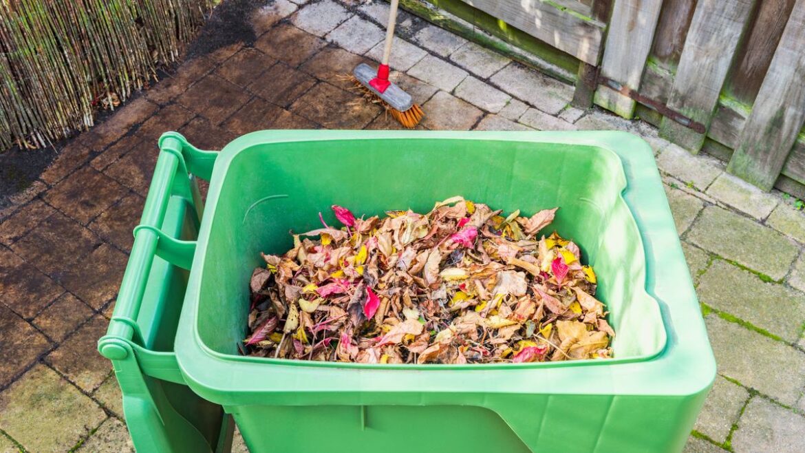 Common garden items you can no longer put in your bin due to new rules — full list Liverpool Echo