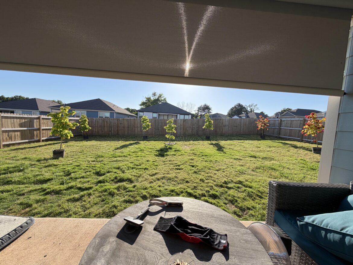 Cons to making a little redbud forest that also blocks my neighbors view?