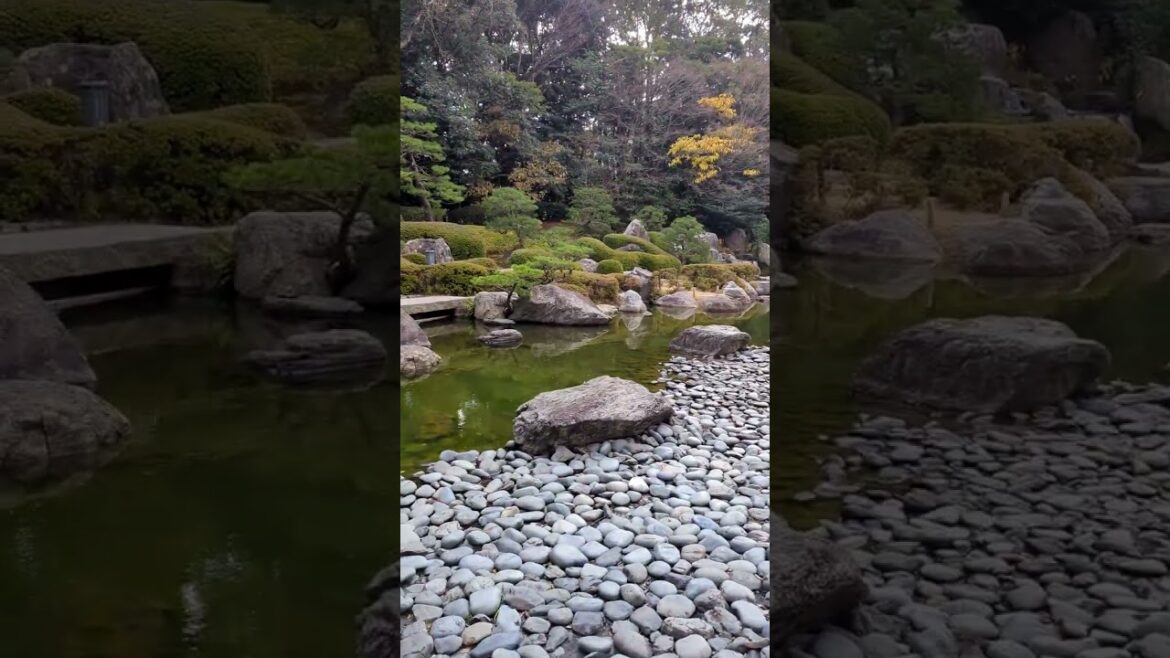 Ohori park japanese garden in Fukuoka #garden #japan #fukuoka #nature #landscape #water #art #zen