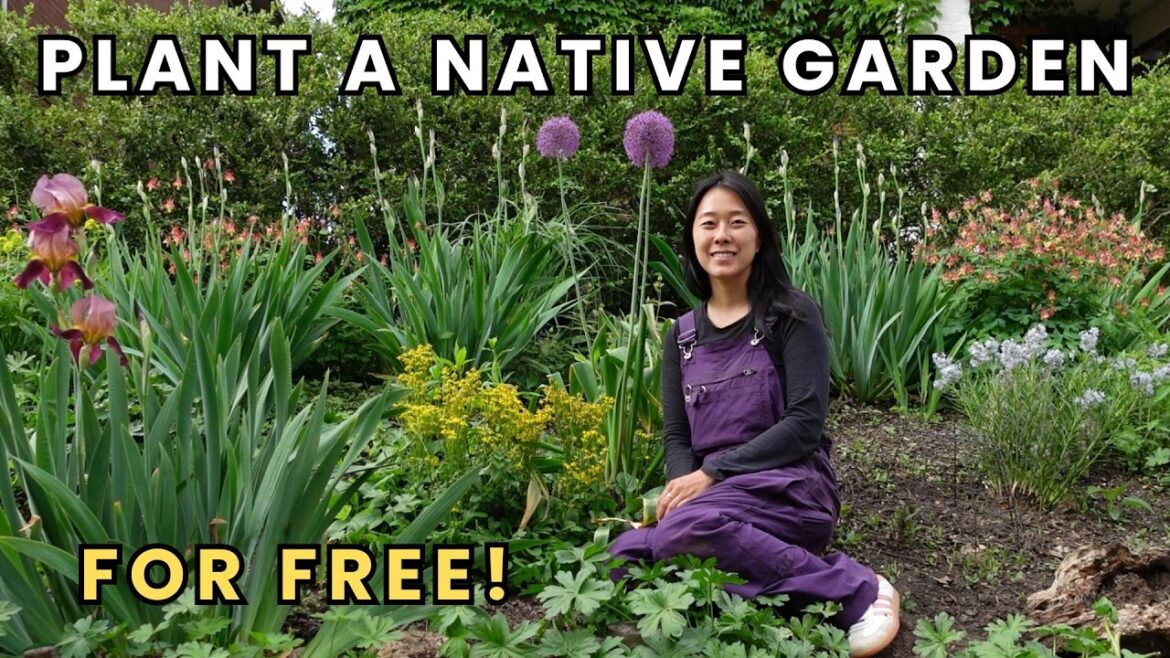 How to Plant a Native Flower Garden for FREE How to Plant a Native Flower Garden for FREE