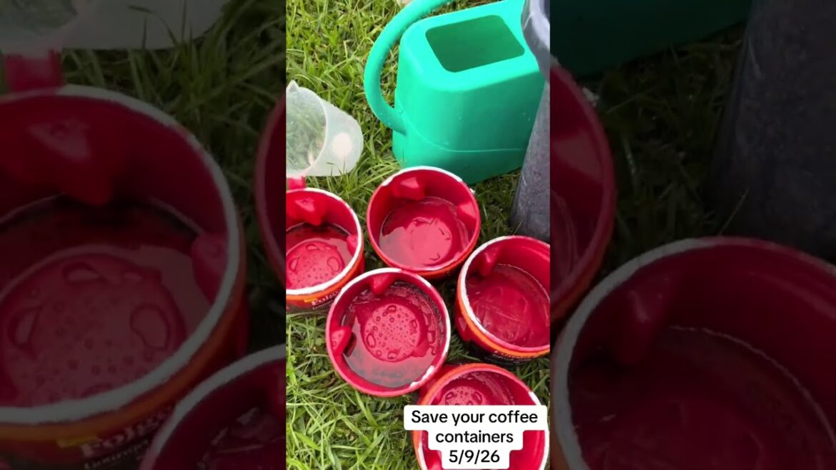 Coffee container garden hack βπ±π Coffee container garden hack βπ±π