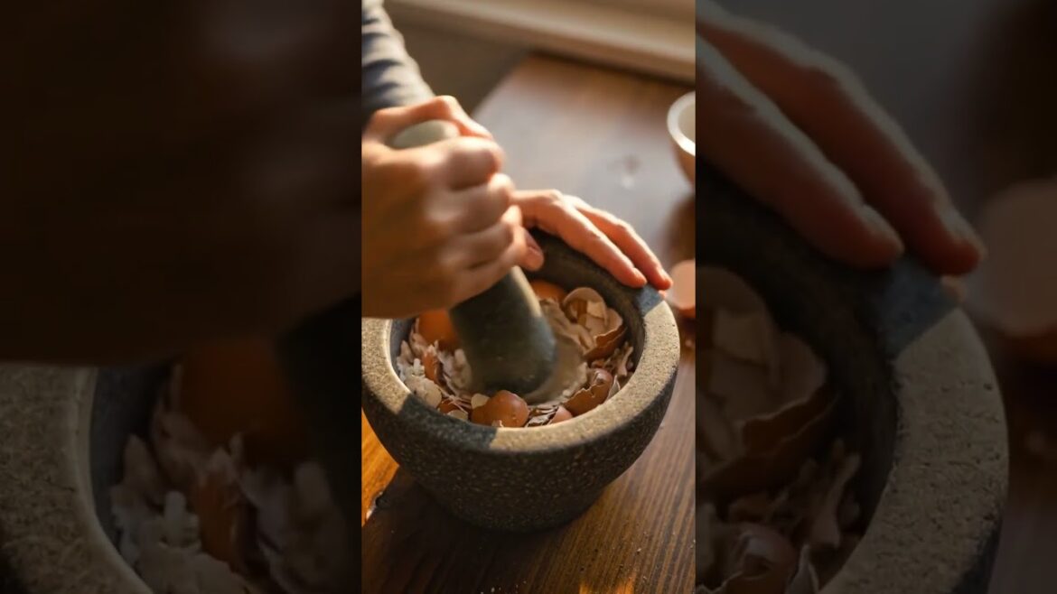 Useless Eggshells? Try This CALCIUM TRICK! | Gardening Tips #gardenhacks #garden #садоводничество