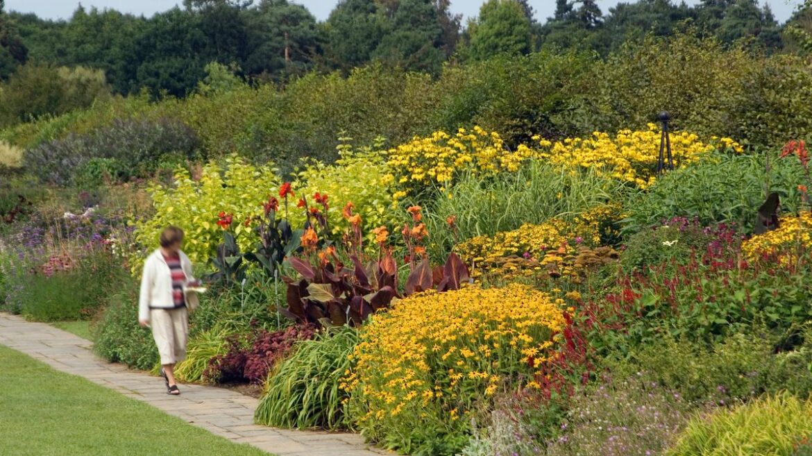 Surrey garden named ‘one of UK’s best’ for 2026 with 25,000 plant species Surrey Live