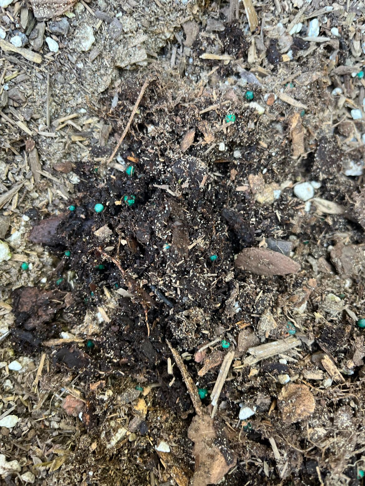What’s this in the soil?