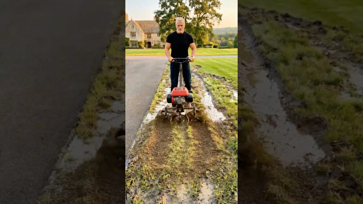 Budget Front Yard Landscaping 🌱 Easy DIY Garden Transformation Budget Front Yard Landscaping 🌱 Easy DIY Garden Transformation
