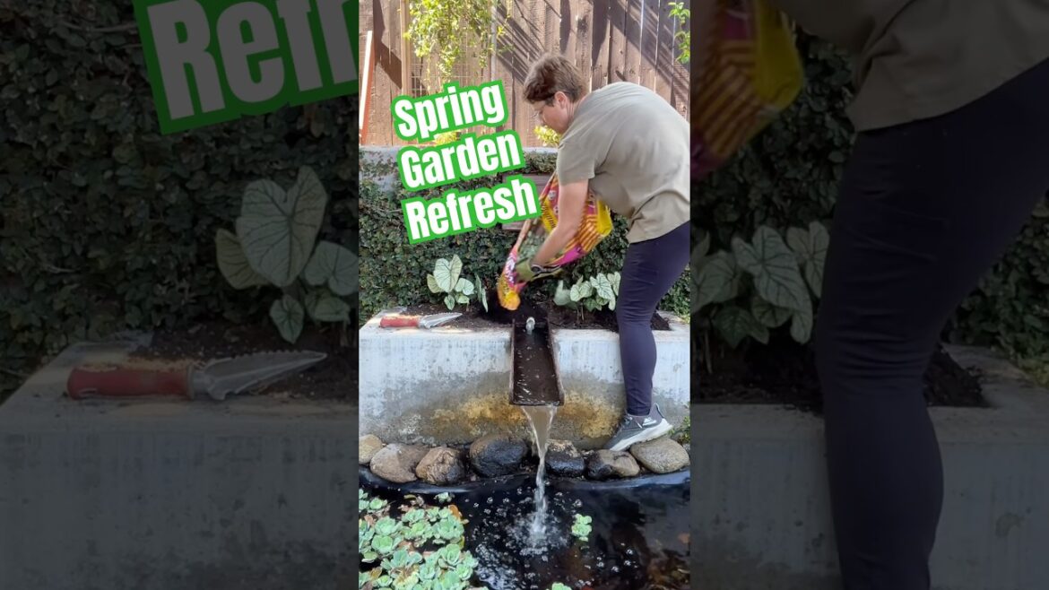 Backyard Garden Refresh - New Life For Spring  #backyardgarden #springgarden #gardenlife #mygarden