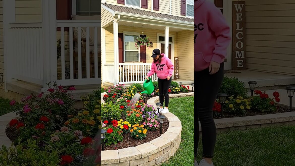 Backyard Garden: Before & After Backyard Garden: Before & After