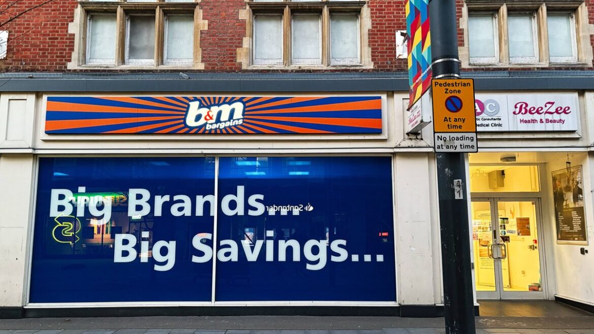 B&M’s ‘impressive’ £20 garden ornament is ‘regal’ and practical Bristol Live