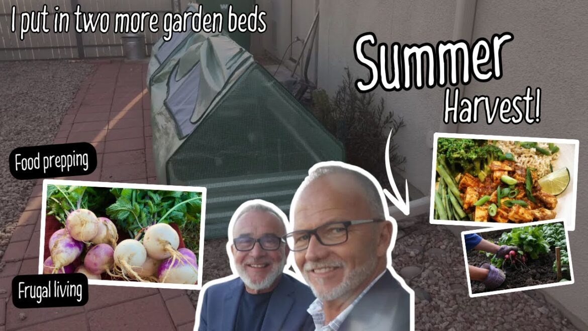 Building More Garden Beds to Cut Grocery Costs (Grow Your Own Food at Home) Building More Garden Beds to Cut Grocery Costs (Grow Your Own Food at Home)