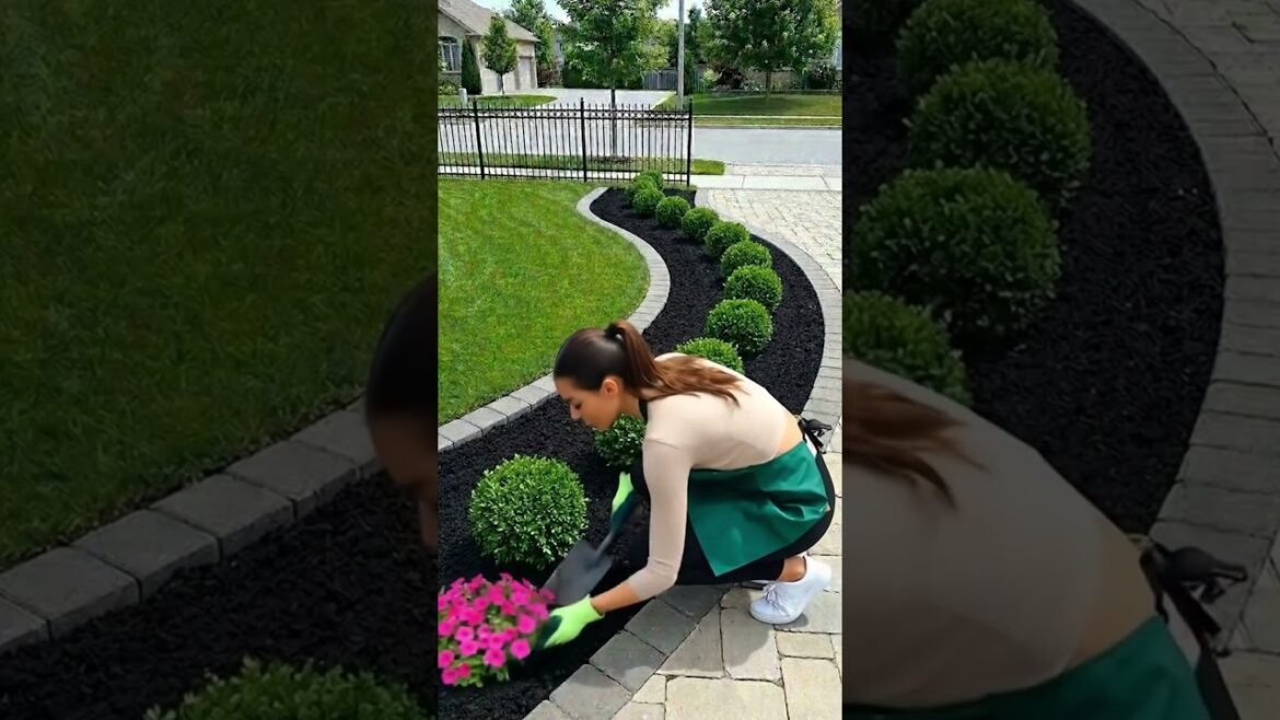 How To Make Beautiful Front Yard Garden Bed | Full Landscaping Process