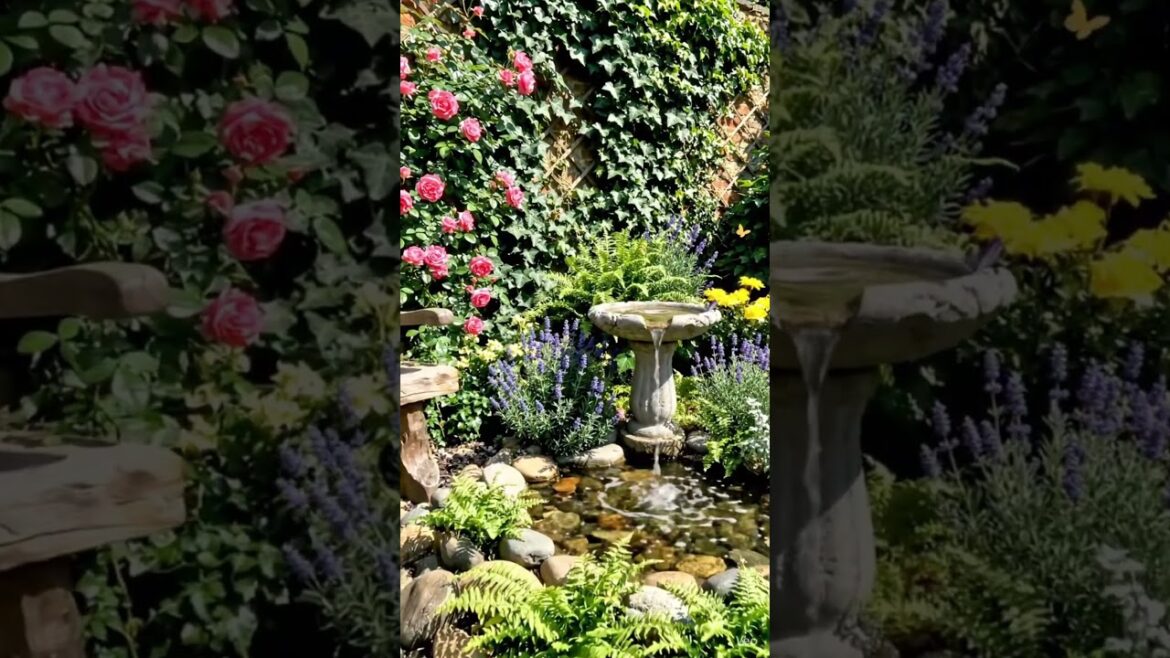 Beautiful Small Lovely Garden Designs Ideas—-Beautiful Small Garden #shorts Beautiful Small Lovely Garden Designs Ideas—-Beautiful Small Garden #shorts