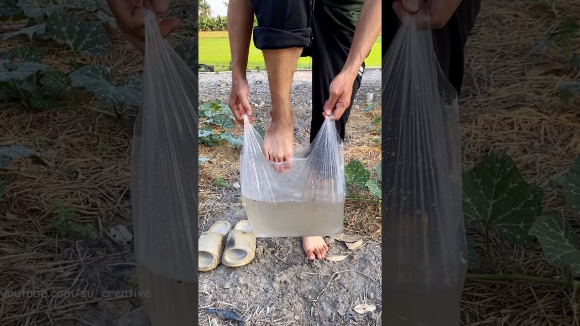 How to clean your feet after gardening? #tricks #garden #tips #lifehacks #amazing
