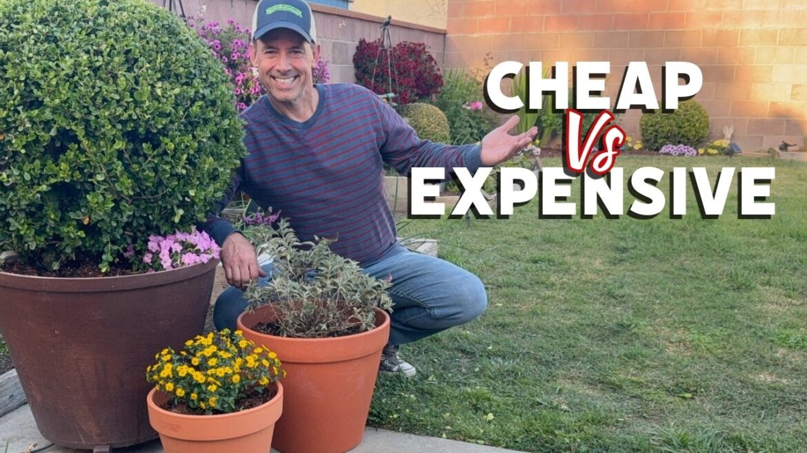 High-End Look, Low Budget: My 3-Pot Garden Design Trick | Gardening with the Williamses