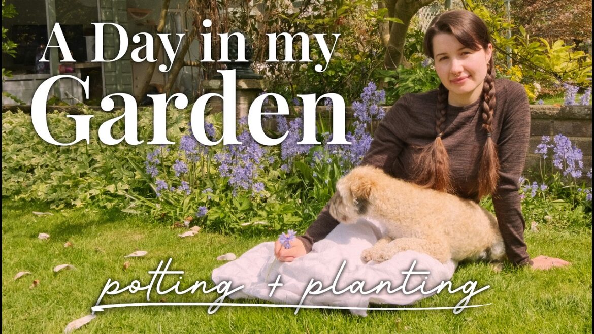 A Spring Day in the Garden 🌿 | Planting, Potting & Garden Plans A Spring Day in the Garden 🌿 | Planting, Potting & Garden Plans
