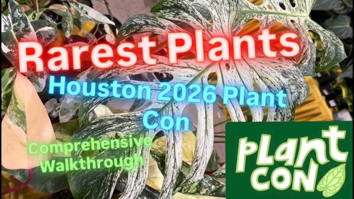 Plant Con Houston 2026 Is This Plant Heaven? Plant Con Houston 2026 Is This Plant Heaven?