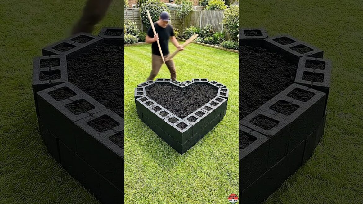 Backyard Garden in 1 Day 🔥 Right on Grass #garden Backyard Garden in 1 Day 🔥 Right on Grass #garden
