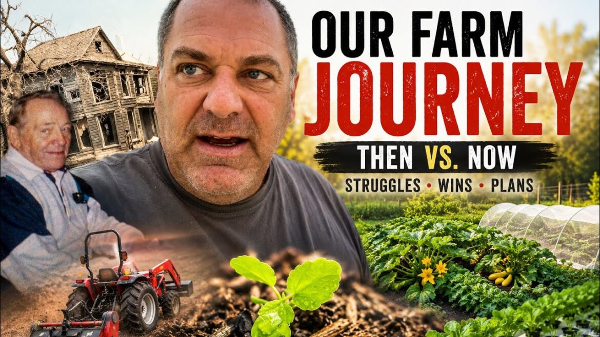 Our Farm Journey, then vs. now, Struggles, Wins, Plans Our Farm Journey, then vs. now, Struggles, Wins, Plans