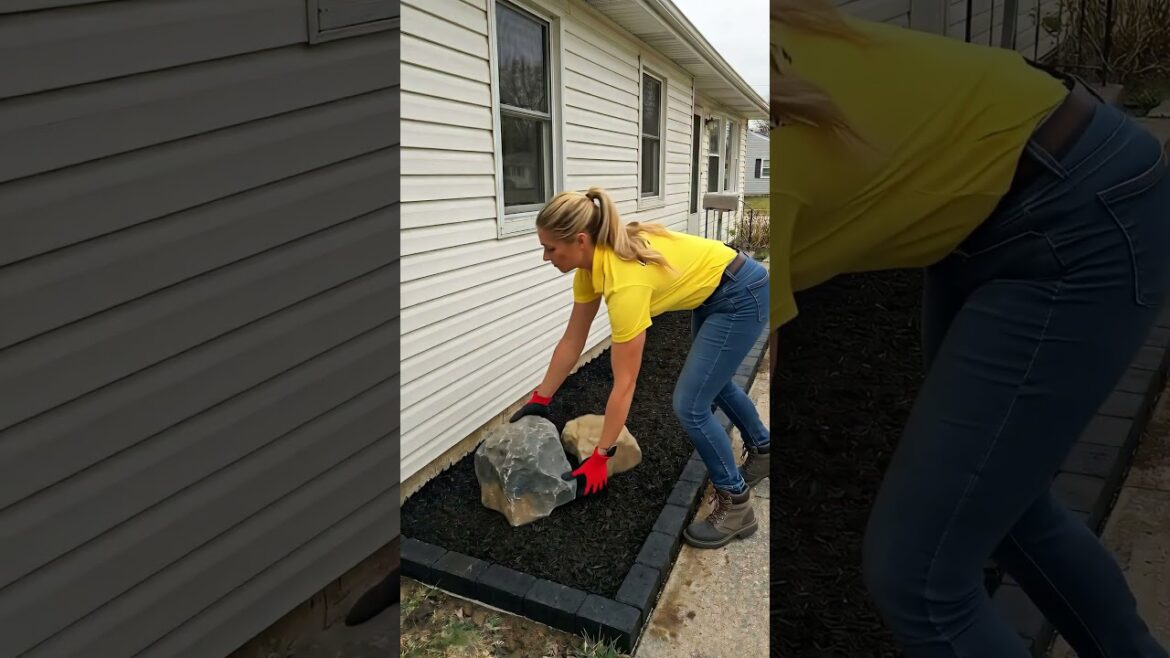 What $300 Did to This Forgotten Side Garden