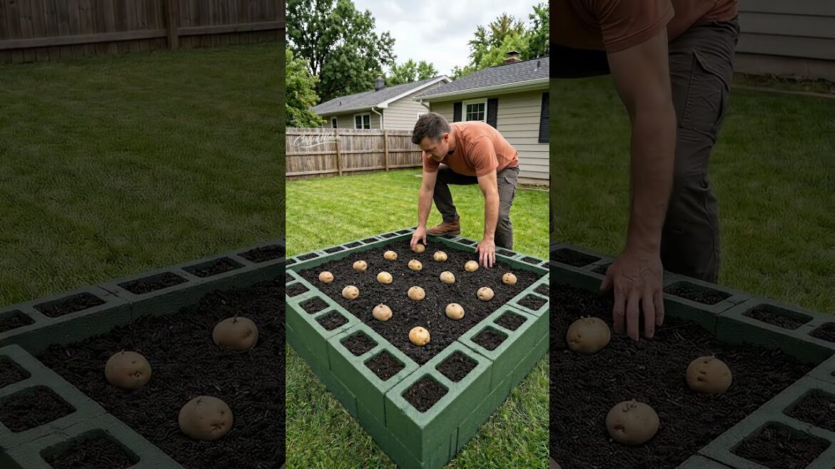I did NOT see this coming 🥔🔥