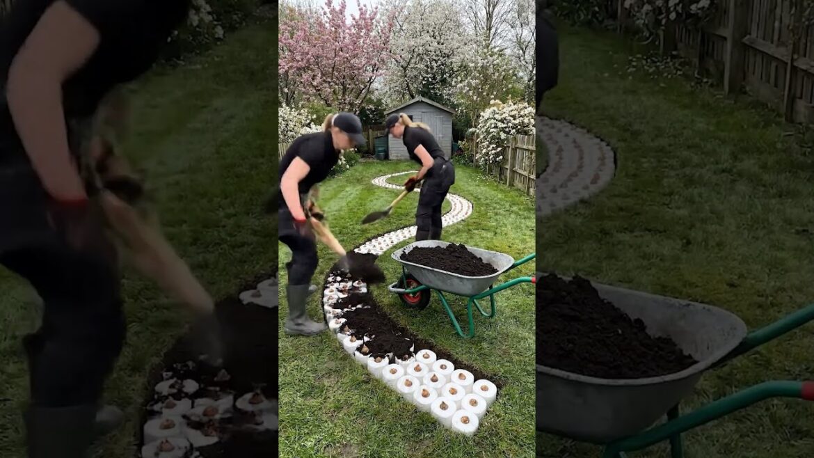 Backyard Garden Path Build with Blooming Flower Transformation