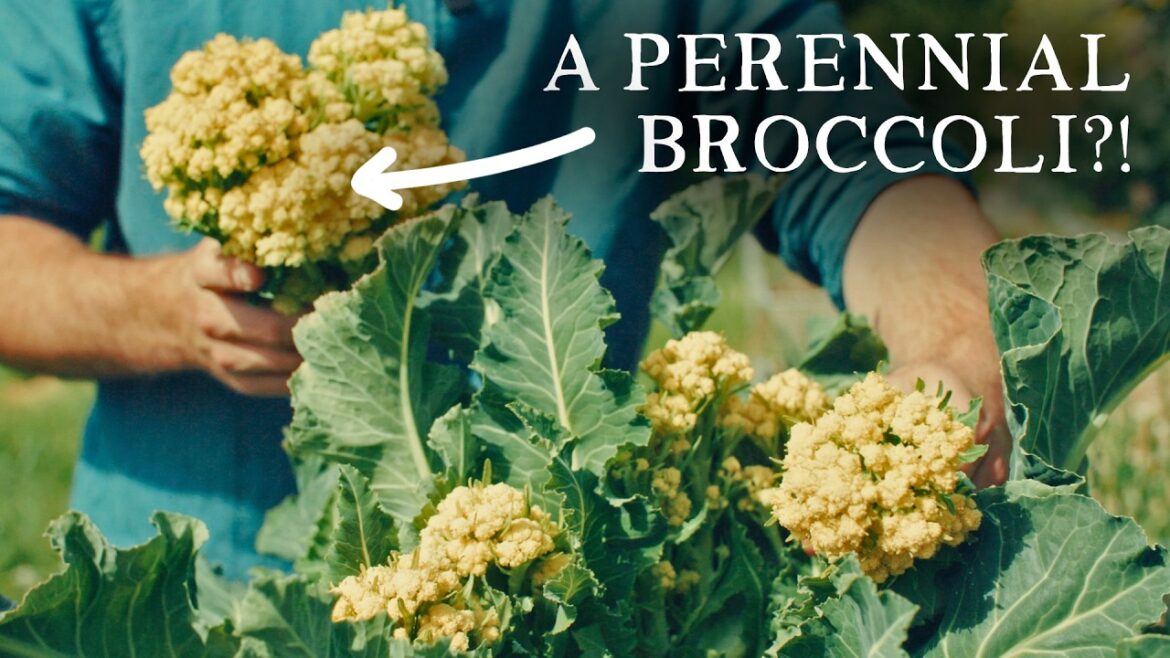 Huw Richards: Grow These Unusual Edible Plants in Your Vegetable Garden Grow These Unusual Edible Plants in Your Vegetable Garden