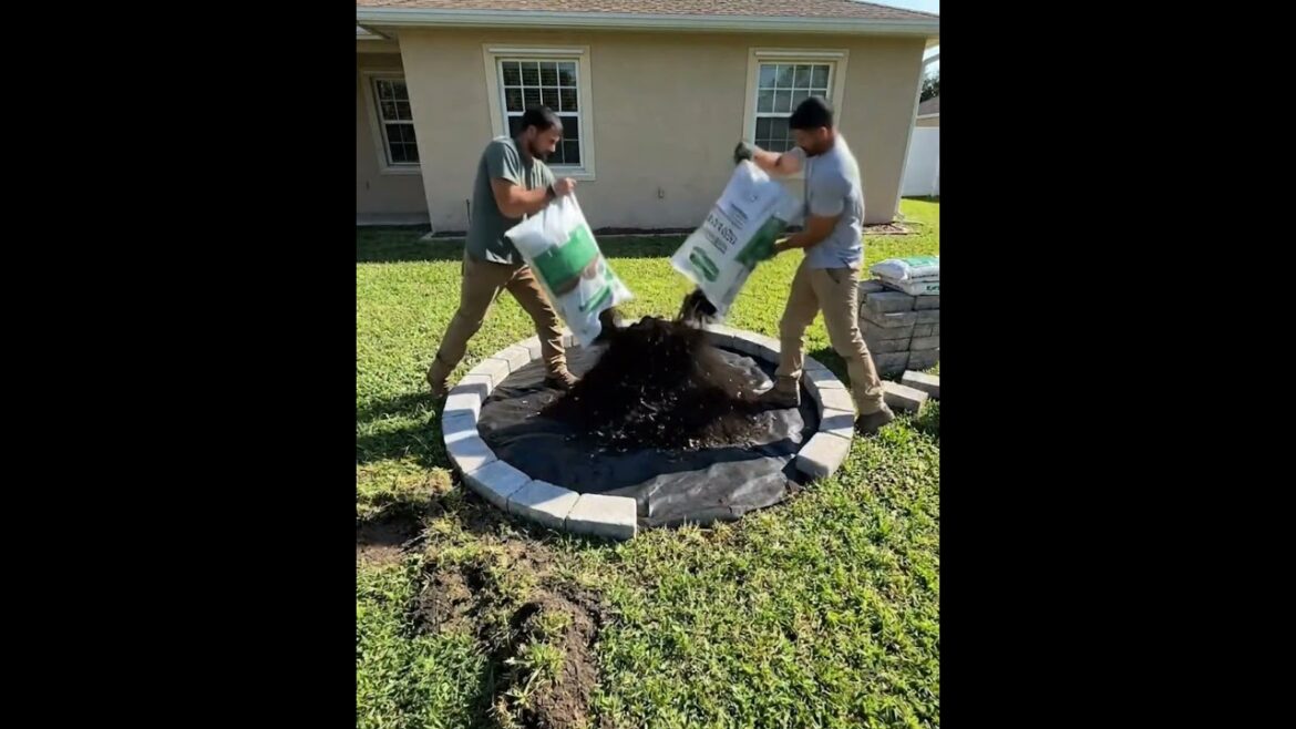 Satisfying BackyardTransformation! Satisfying BackyardTransformation!