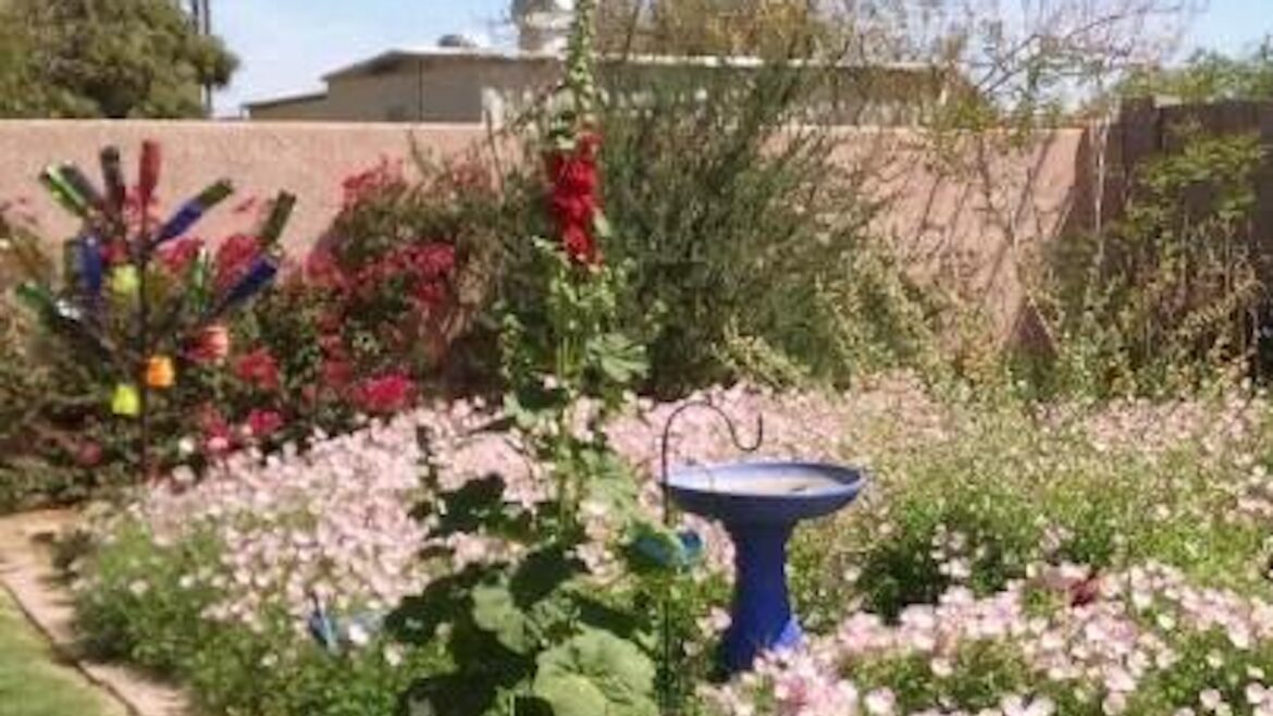 A vibrant garden filled with pink flowers, a blue birdbath, and a colorful bottle tree in the background.