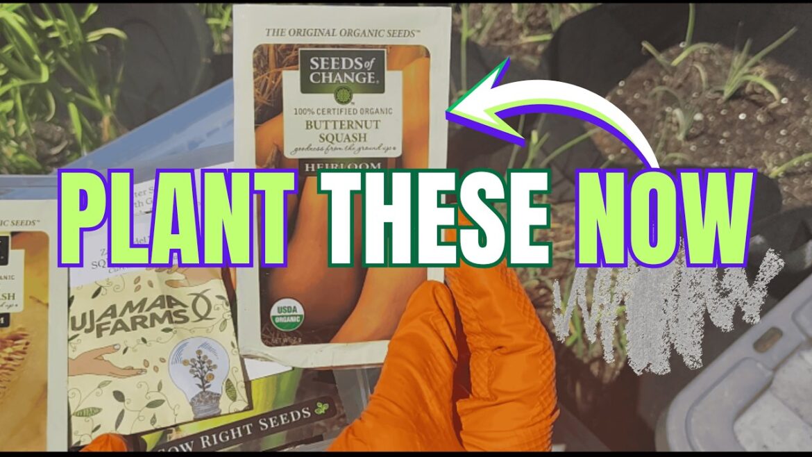 10 Crops You MUST Plant in May ASAP | Beginner Gardeners | Container Gardening 10 Crops You MUST Plant in May ASAP | Beginner Gardeners | Container Gardening