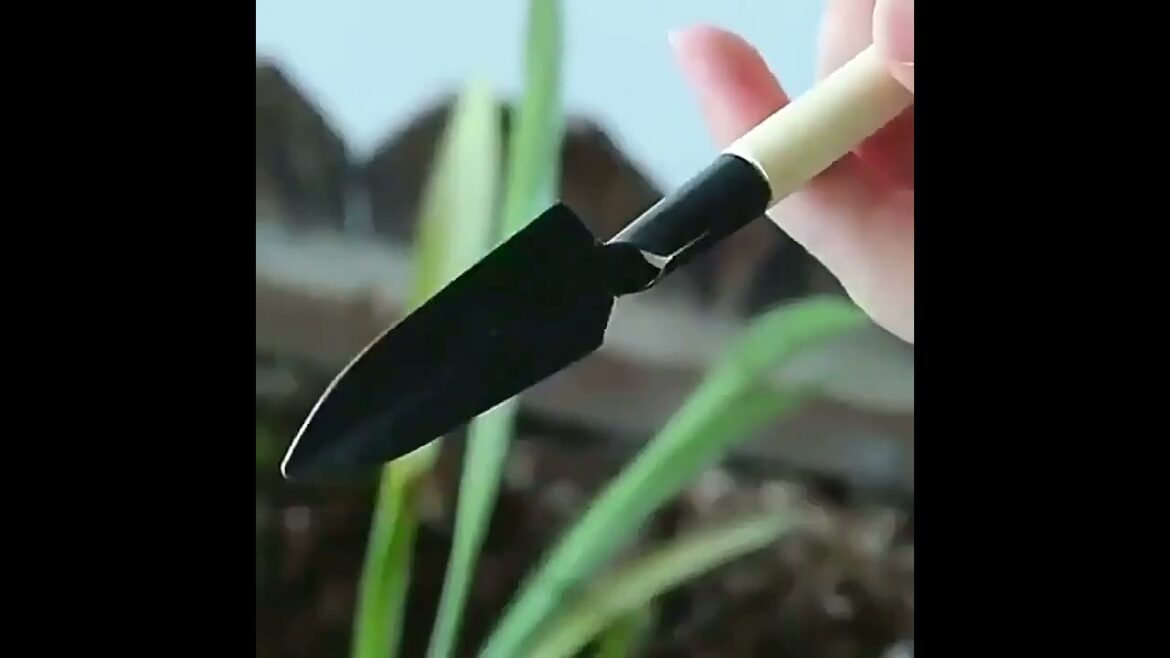 3pc Gardening Tools
