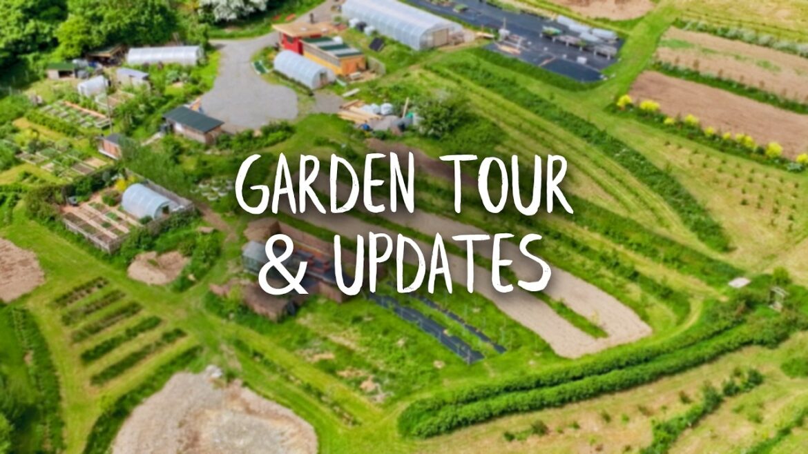 Huw Richards: Things Have Changed Around Here | Huw’s Garden Diary Things Have Changed Around Here | Huw's Garden Diary
