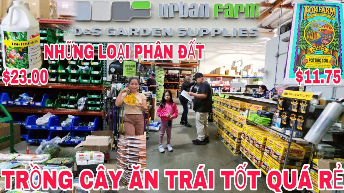 ĐẤT QUÁ RẺ! 🤫 Đất Trồng Cây Ăn Trái Tốt Bông Trái Đầy Cành (D&S GARDEN SUPPLIES) 🌳 ĐẤT QUÁ RẺ! 🤫 Đất Trồng Cây Ăn Trái Tốt Bông Trái Đầy Cành (D&S GARDEN SUPPLIES) 🌳