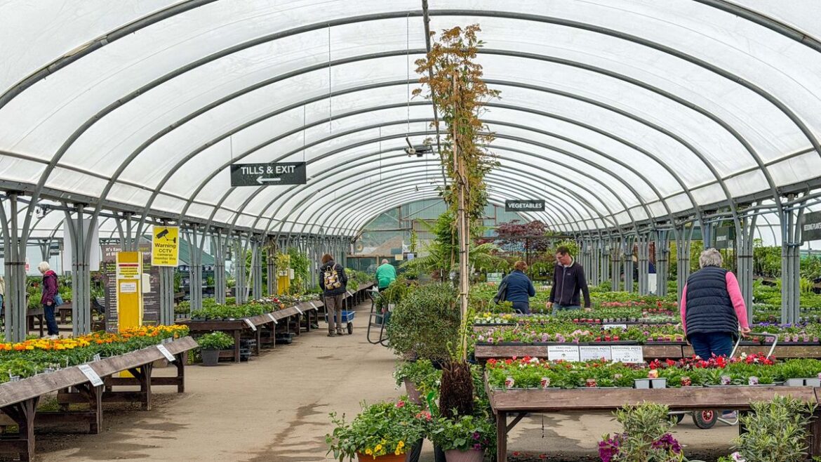 Garden centre with cafe near to historic Bristol castle landmark Bristol Live
