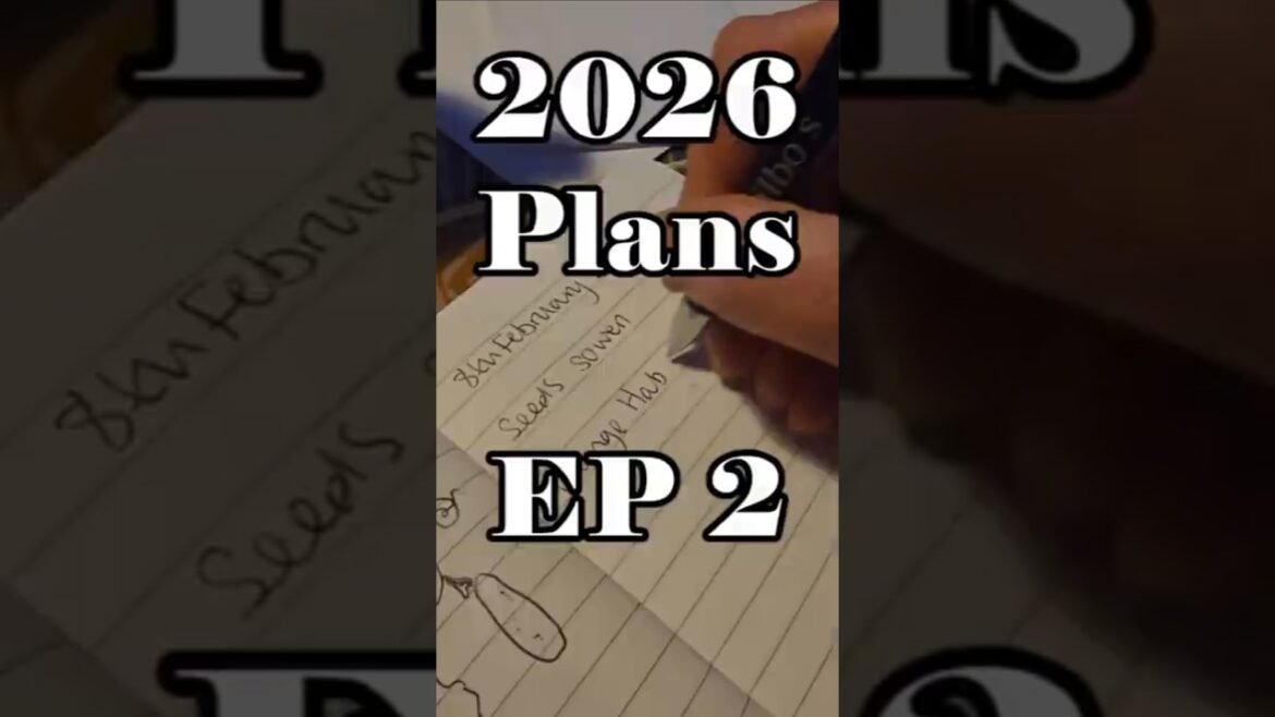 📋📋 2026 plans EP2 #gardening #plans #planting 📋📋 2026 plans EP2 #gardening #plans #planting