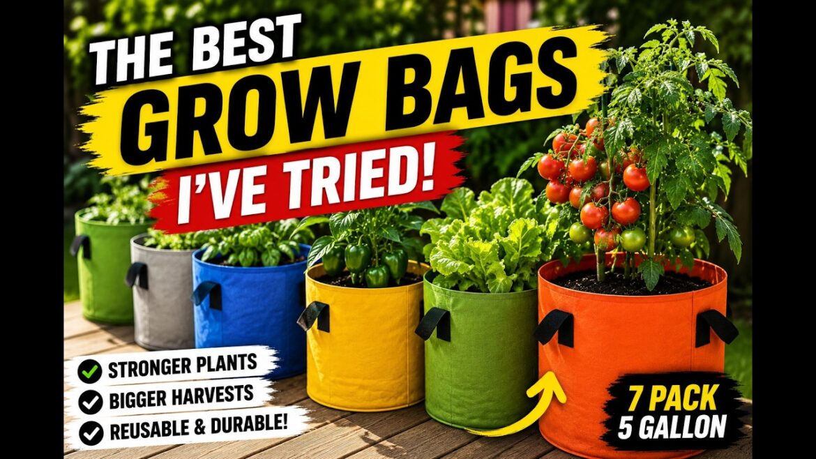 These Grow Bags Changed My Container Garden! These Grow Bags Changed My Container Garden!