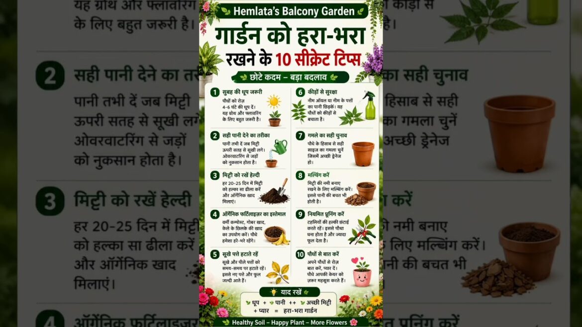 πΌ Garden Hack! π± 10 Tips for More Flowers (100% Working) #garden #shortsfeed #shorts #youtubeshorts πΌ Garden Hack! π± 10 Tips for More Flowers (100% Working) #garden #shortsfeed #shorts #youtubeshorts