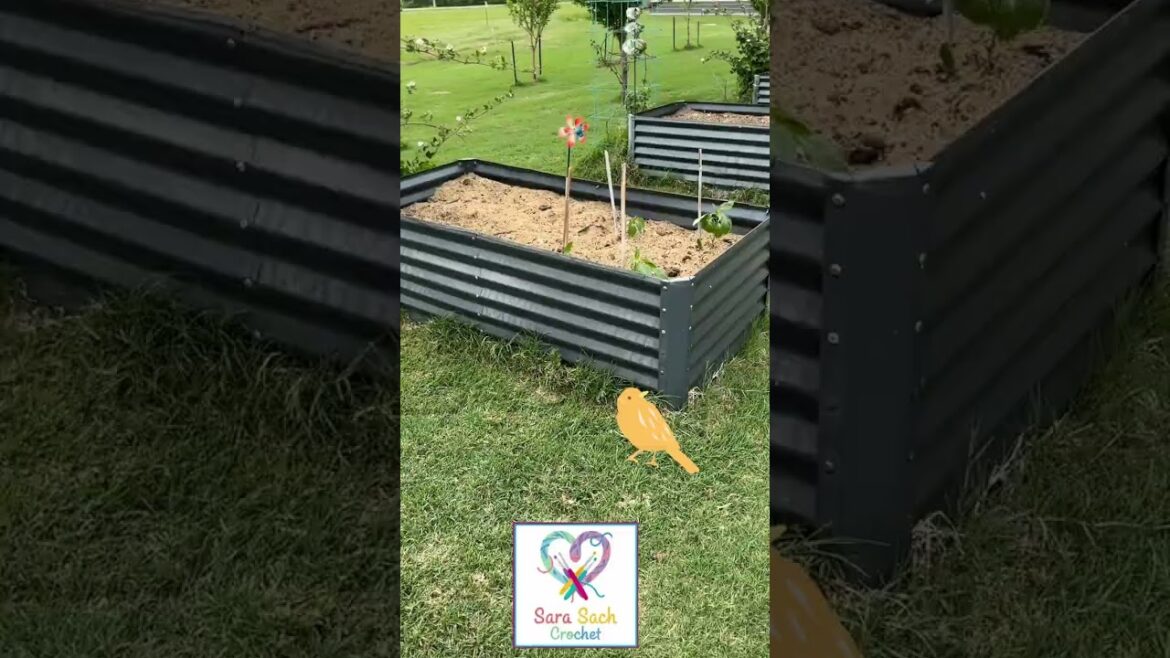 2026 Container Garden – How It Started #sarasachcrochet #containergarden #gardening 2026 Container Garden - How It Started #sarasachcrochet #containergarden #gardening
