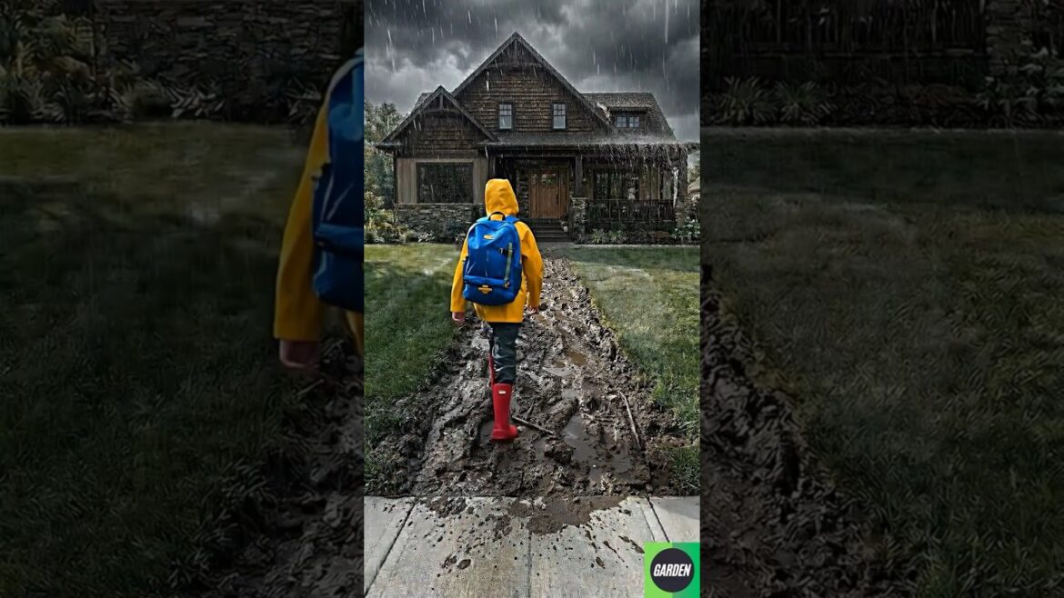 From Muddy Mess to Dream Walkway 🏡✨ From Muddy Mess to Dream Walkway 🏡✨