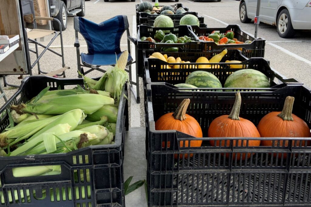 Garden workshop by FiveCAP in Lake County offers free plants Garden workshop by FiveCAP in Lake County offers free plants