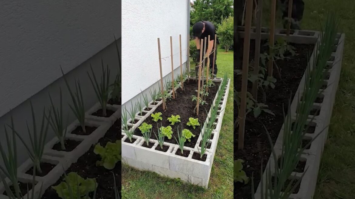 USA best gardening style in our garden #usashorts #shots #viral #landscape #youtubeshorts #trending