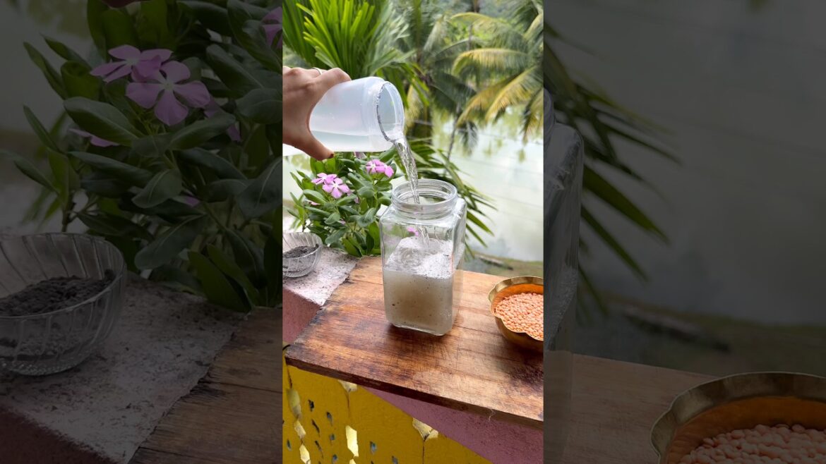 Best Homemade Fertilizer For Flowers & Vegetables! #garden #plants #gardening Best Homemade Fertilizer For Flowers & Vegetables! #garden #plants #gardening