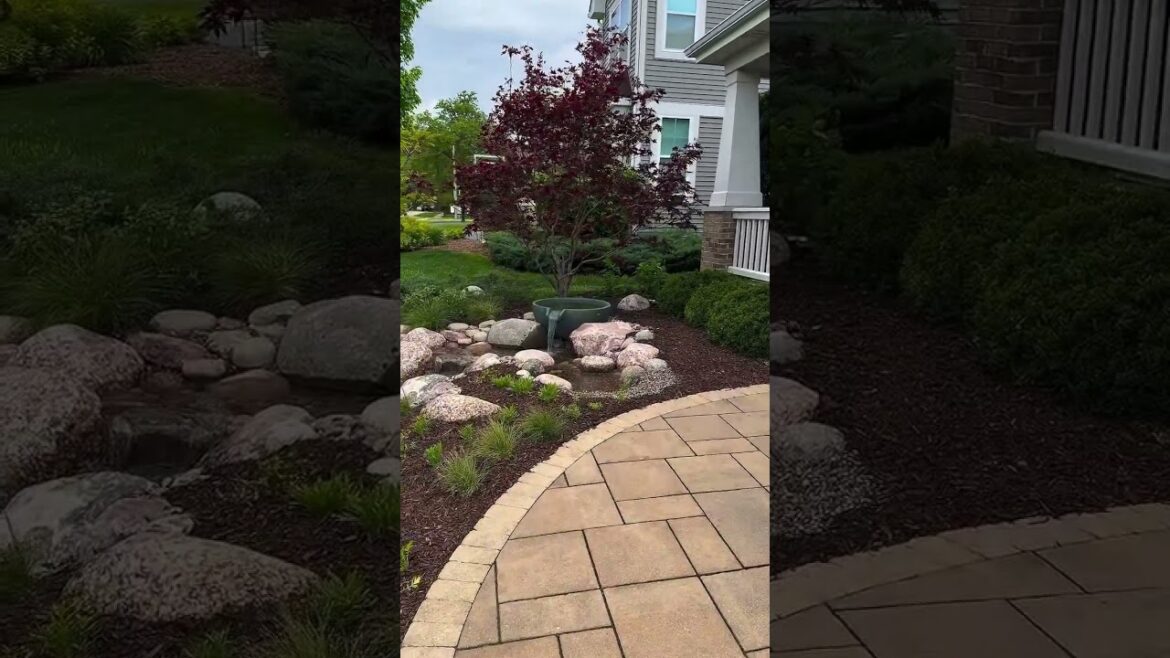 @powersplants Got A Front Yard Makeover! #shorts