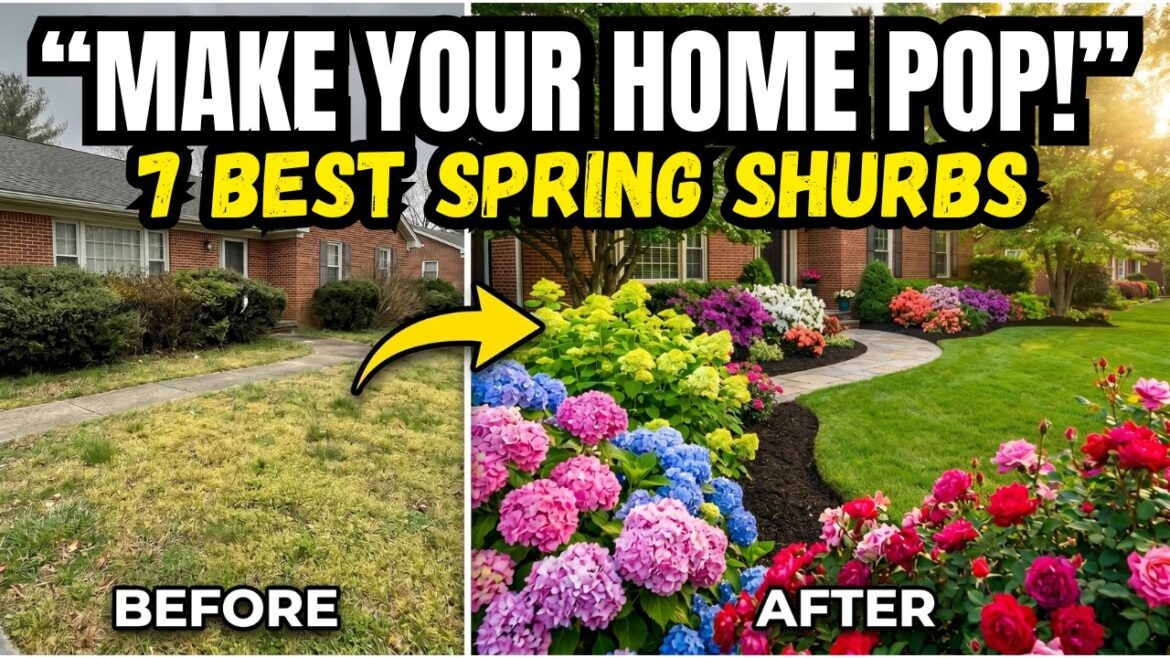 π7 Best Flowering Shrubs To Plant Now for Instant Curb Appeal πΈ Transform Your Front Yard π7 Best Flowering Shrubs To Plant Now for Instant Curb Appeal πΈ Transform Your Front Yard
