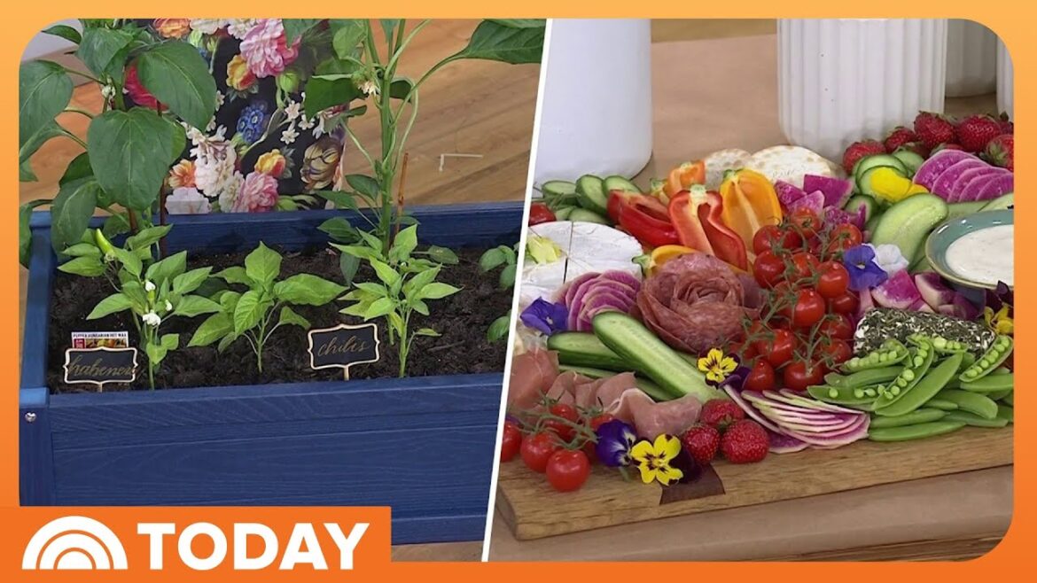 What to Grow in Your Garden This Summer: Herbs, Peppers, More