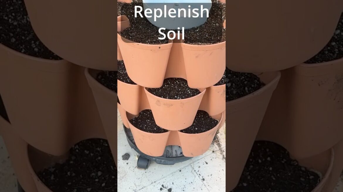 California Gardening: How to Prep Your GreenStalk Planter for Next Season! 🌿 How to Prep Your GreenStalk Planter for Next Season! 🌿