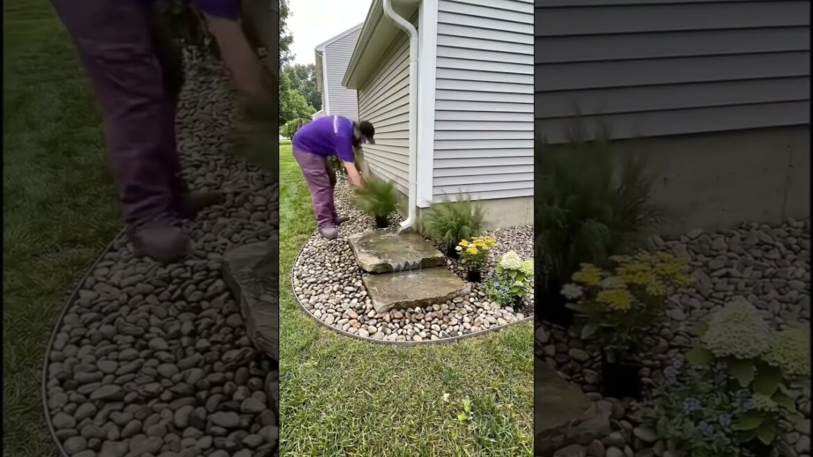 Diy Gardening 🌱 Amezing gardening 🌱 #diy #backyardmakeover #diycrafts Diy Gardening 🌱 Amezing gardening 🌱 #diy #backyardmakeover #diycrafts