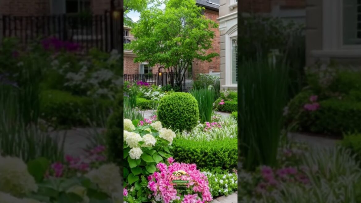 Tiny Garden, Luxury Vibes! ✨ 5 Rare Flower Layering Hacks for a Stunning 2026 Color Wave Tiny Garden, Luxury Vibes! ✨ 5 Rare Flower Layering Hacks for a Stunning 2026 Color Wave